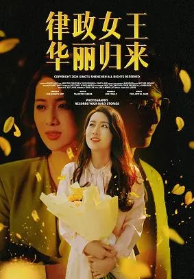 律政女王华丽归来 海报