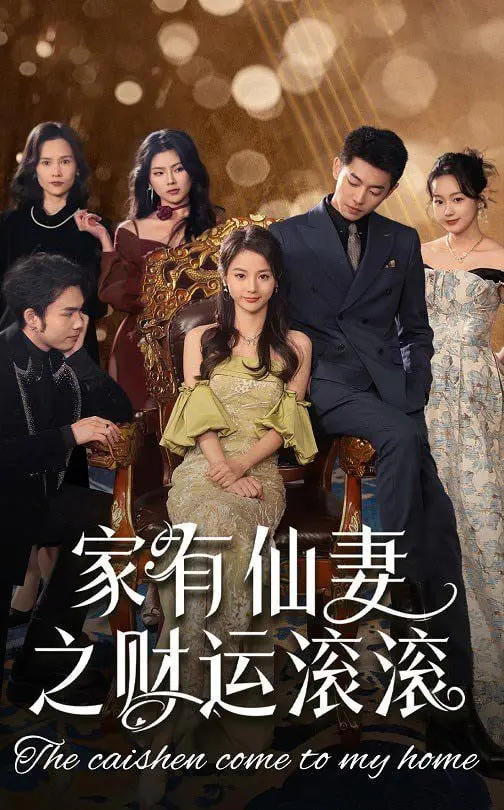 《家有仙妻之财运滚滚》：财神也挡不住的凡尘恋曲，笑中带泪的都市奇幻爱情故事！