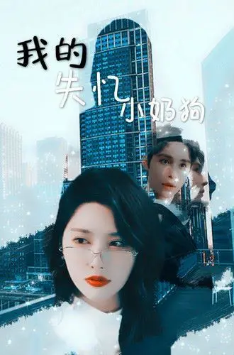 《我的失忆小奶狗》：当高冷总裁遇上失忆萌宠，一场啼笑皆非的治愈系爱恋！